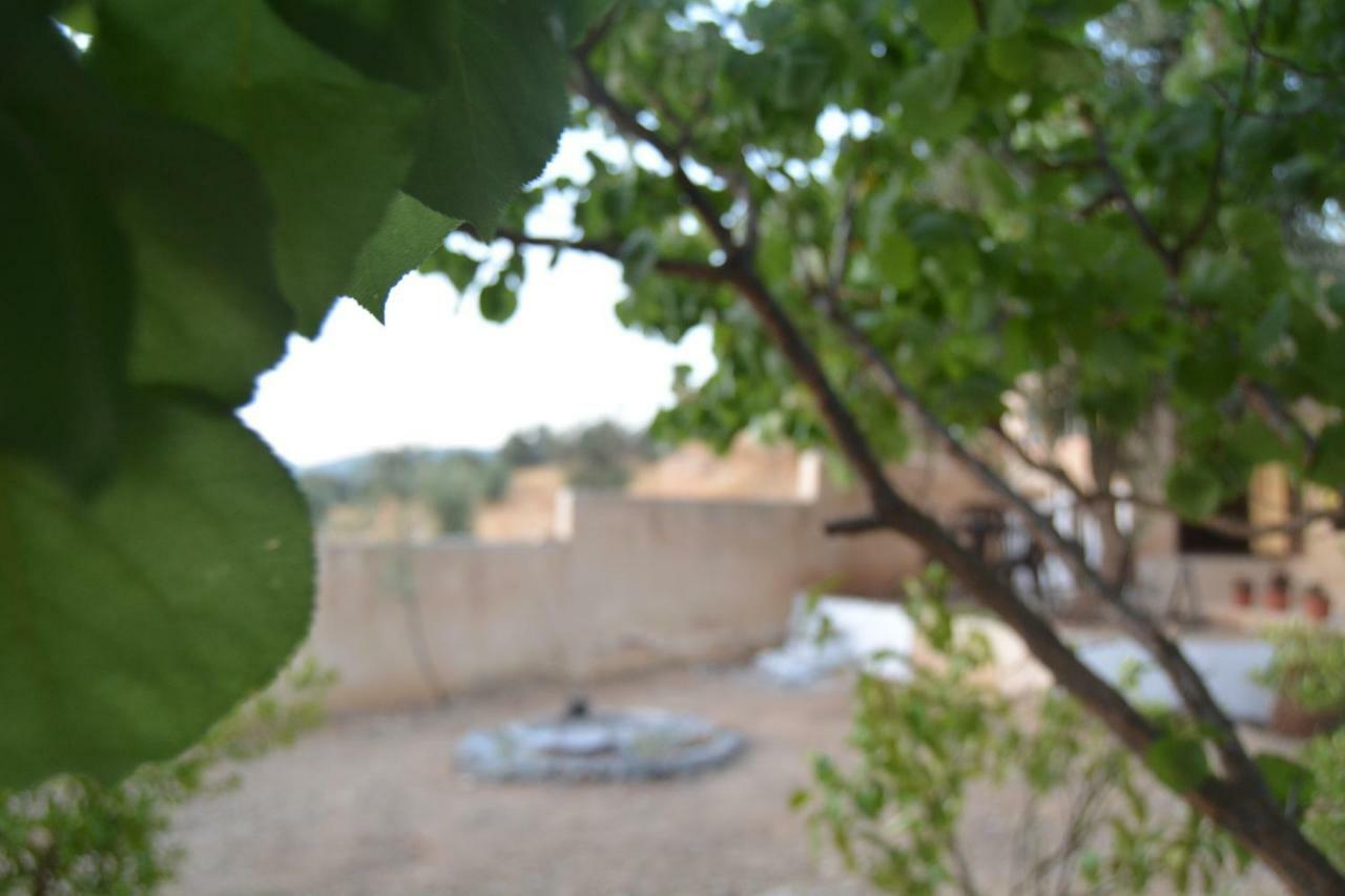 Our Villa'S Private Apartments - Hq Budget Stay - Wonderful Horizon View Of Jerash 제라시 외부 사진